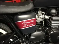 Triumph Bonneville – Déco Café Racer mate (11)