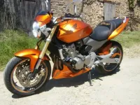 600 Hornet Orange (4)