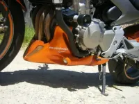 600 Hornet Orange