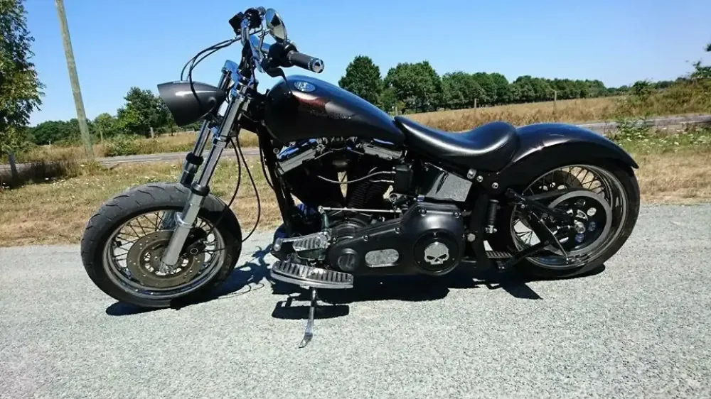 Harley – Flammes poudre caméléon, mat & brillant