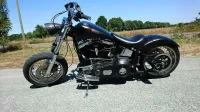 Harley – Flammes poudre caméléon, mat & brillant (1)