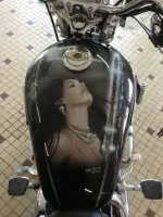 Harley Davidson 1200 Sport Low – Aérographie personnalisée (Nantes 44) (6)