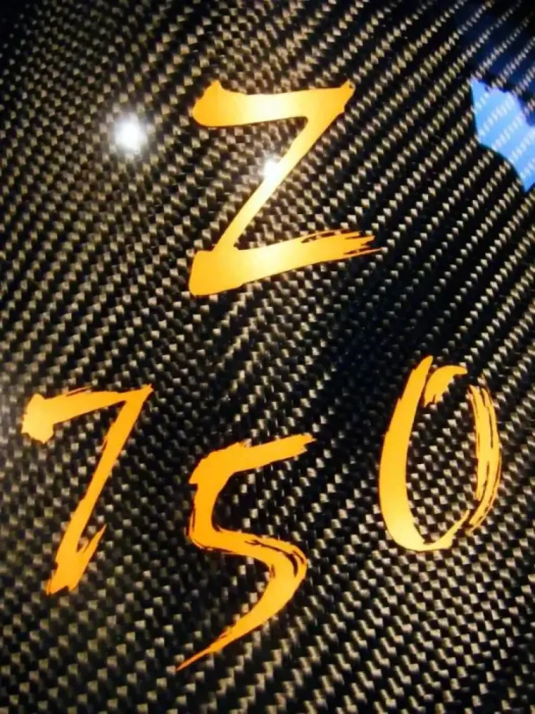 Kawasaki Z750 (2)
