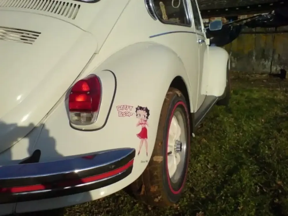 Cox Betty Boop (15)