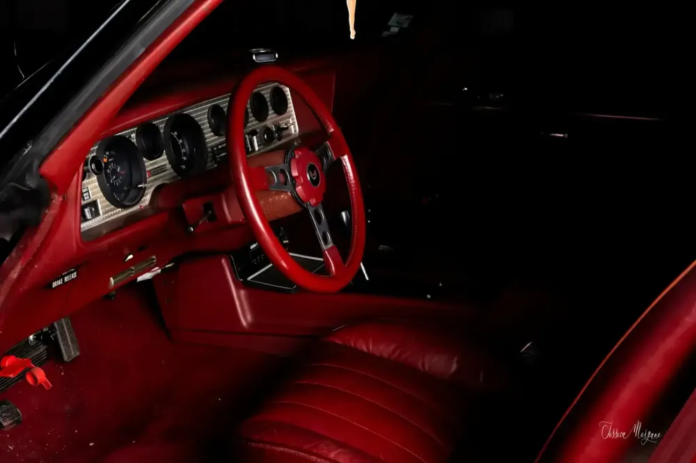 Pontiac Trans Am – Tableau Jessica Morgane, photographe (1)