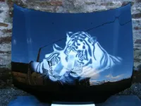 Peinture aérographe tigre (6)