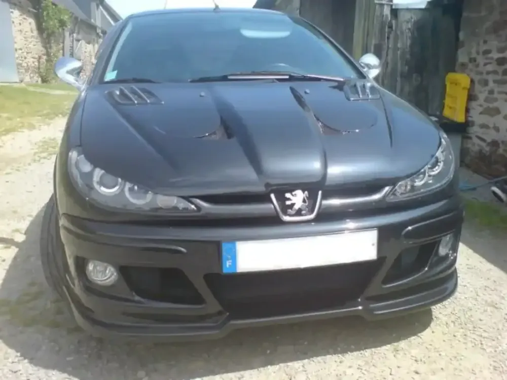 Peugeot 206 noire – Réparation & peinture